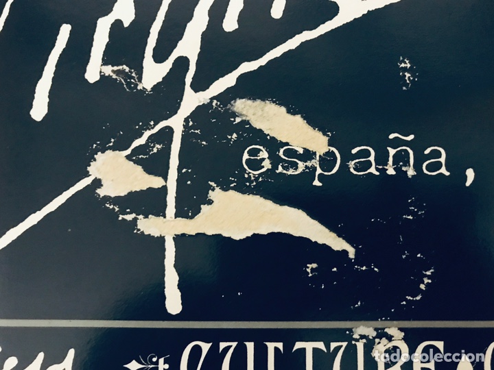 Discos de vinilo: Virgin, As&iacute; Nacimos - Foto 3