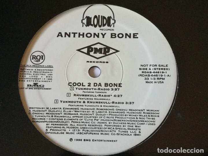 Discos de vinilo: Anthony Bone - Cool 2 Da Bone / Let It Marinate - 1996 - Foto 1