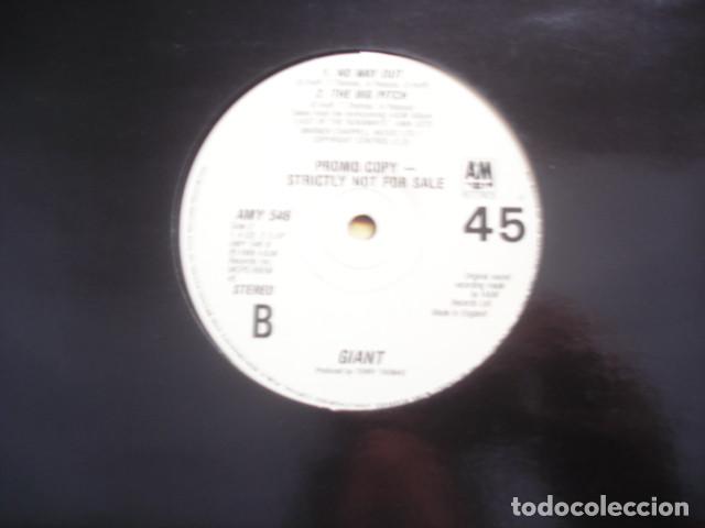 Discos de vinilo: Giant Im A Believer - Foto 2