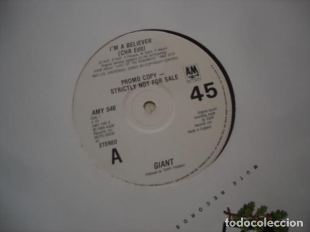 Discos de vinilo: Giant Im A Believer - Foto 1