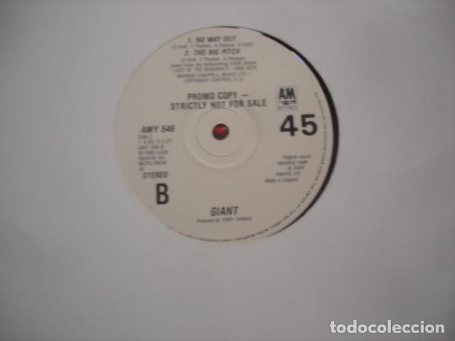 Discos de vinilo: Giant Im A Believer - Foto 2