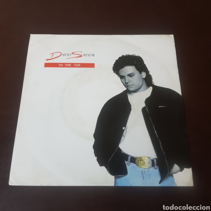 Discos de vinilo: DAVID SAYLOR - TO THE TOP - Foto 1