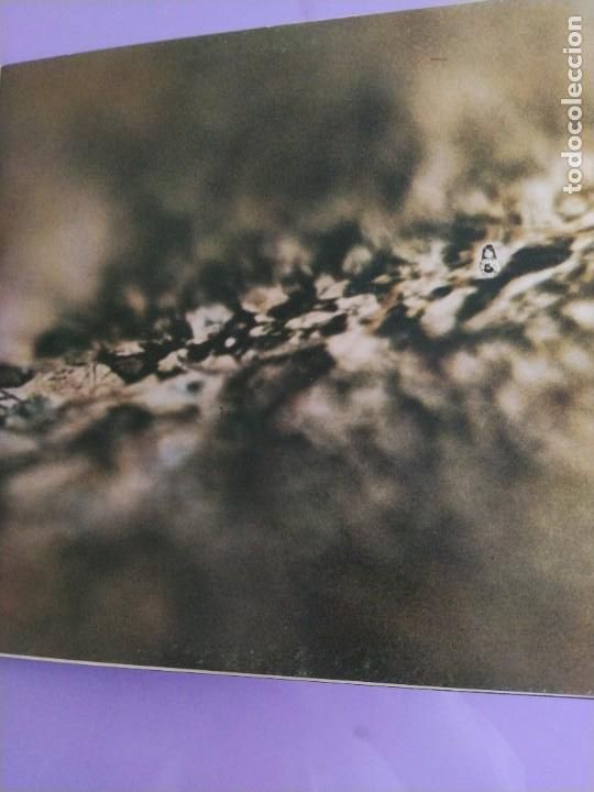 Discos de vinilo: LP. TANGERINE DREAM - RUBYCON - SPAIN E 88754 VIRGIN - 1986) ELECTRONIC KRAUT ROCK. GATEFOLD. - Foto 7