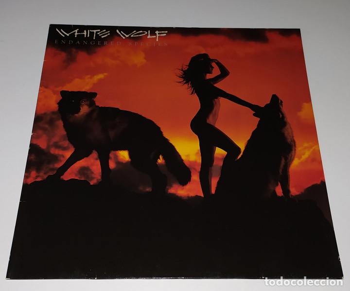 Discos de vinilo: LP WHITE WOLF - ENDANGERED SPECIES - Foto 1