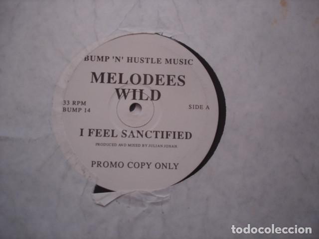 Discos de vinilo: Melodees Wild I Feel Sanctified - Foto 1