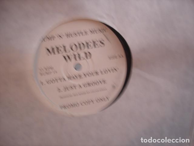 Discos de vinilo: Melodees Wild I Feel Sanctified - Foto 2