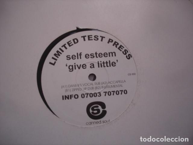 Discos de vinilo: Self Esteem Give A Little - Foto 1