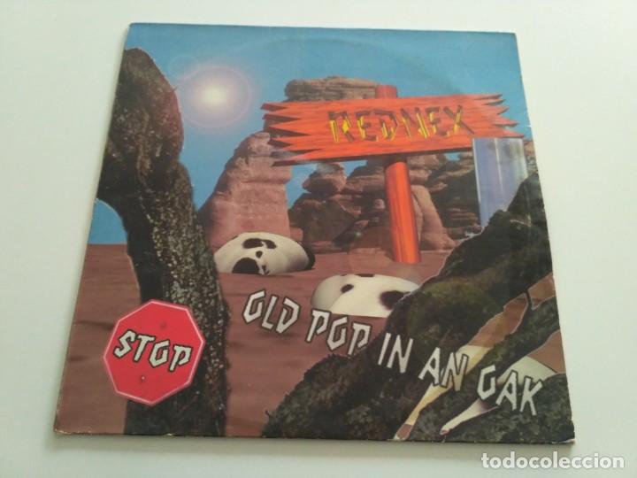 Discos de vinilo: Rednex - Old Pop In An Oak - Foto 1