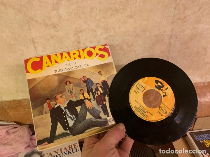 Discos de vinilo: Canarios vinilo peque&ntilde;o - Foto 1