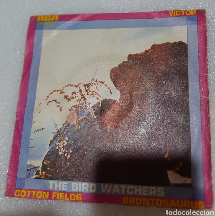 Discos de vinilo: The bird watchers - cotton fields - Foto 1
