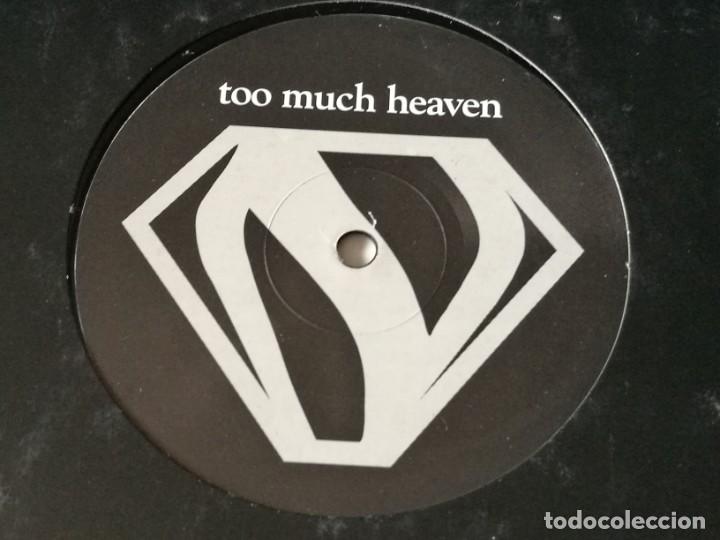 Discos de vinilo: Nana - Too Much Heaven - 1997 - Foto 1