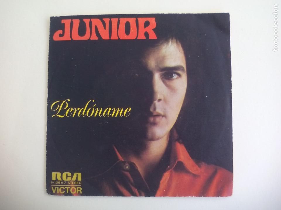 Discos de vinilo: JUNIOR. PERDONAME. 3-10887 RCA VICTOR. 1973. SINGLE - Foto 1