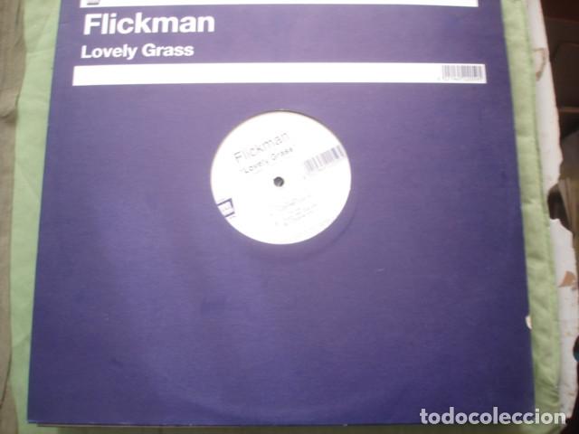 Discos de vinilo: Flickman Lovely Grass - Foto 1