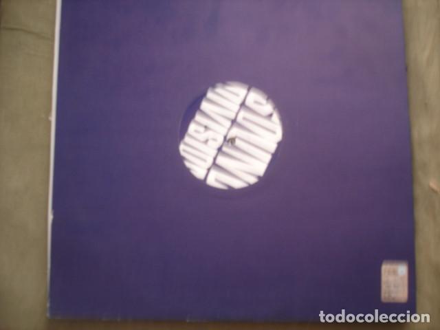 Discos de vinilo: Flickman Lovely Grass - Foto 2