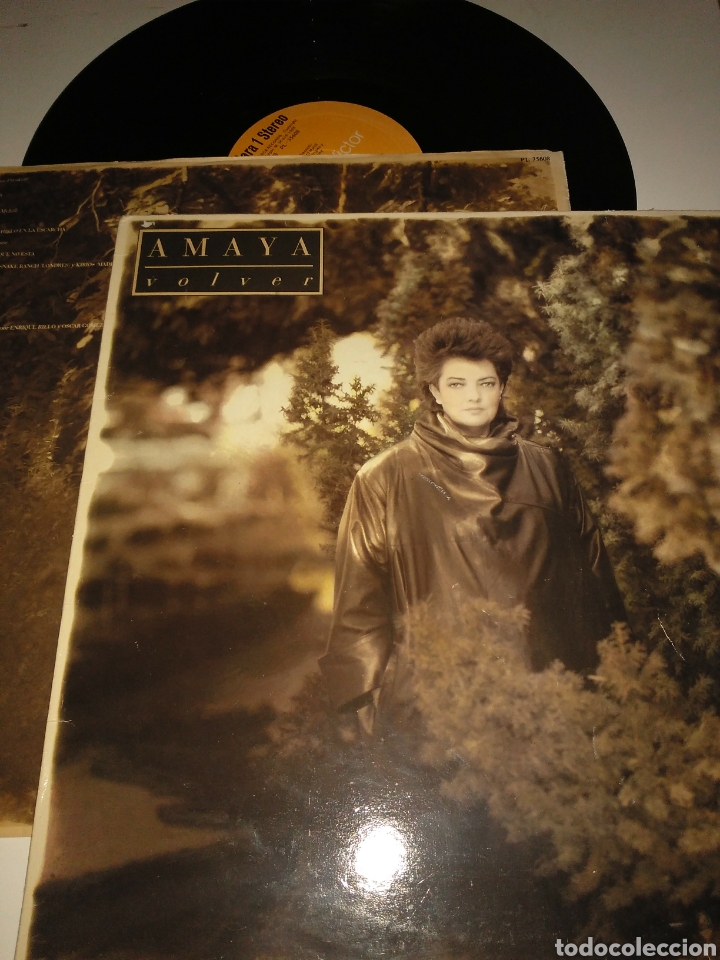 Discos de vinilo: Amaya volver - Foto 1