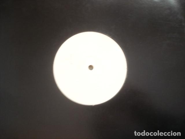 Discos de vinilo: Disco Darlings Dont Hold Back - Foto 2