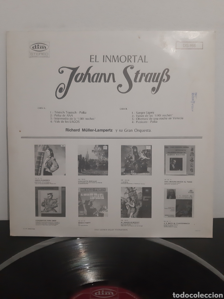 Discos de vinilo: JOHANN STRAUS. DIM RECORDS. 1968. SPAIN - Foto 2