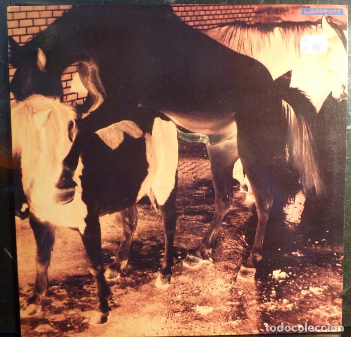 Discos de vinilo: COLOUR BOX // 4AD-DRO // 1983 // MAXI - Foto 1