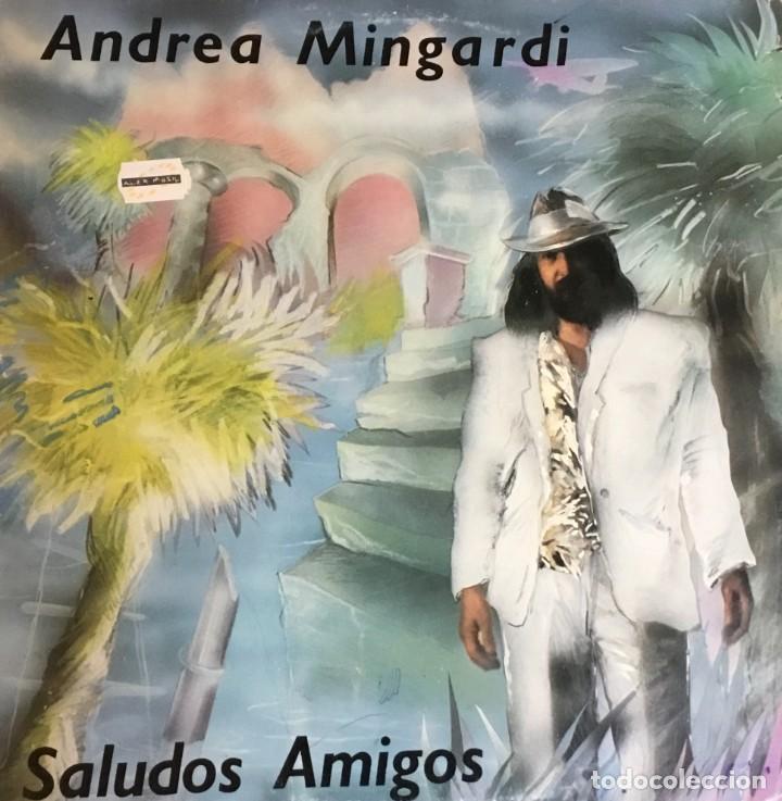 Discos de vinilo: ANDREA MINGARDI - Foto 1