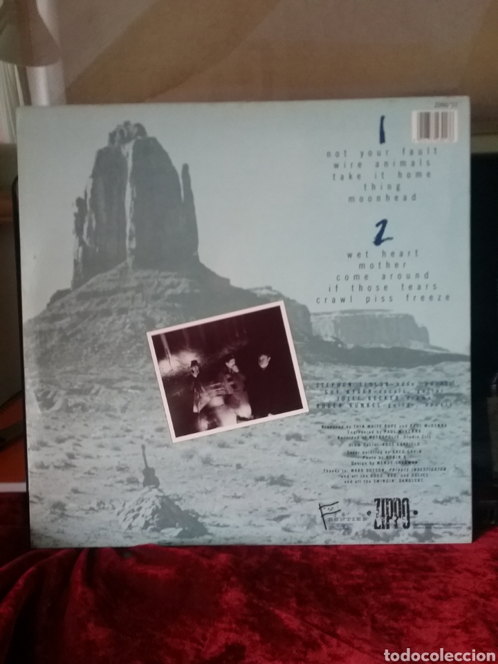 Discos de vinilo: THIN WHITE ROPE 1987 Frontier Zippo Records - Foto 2