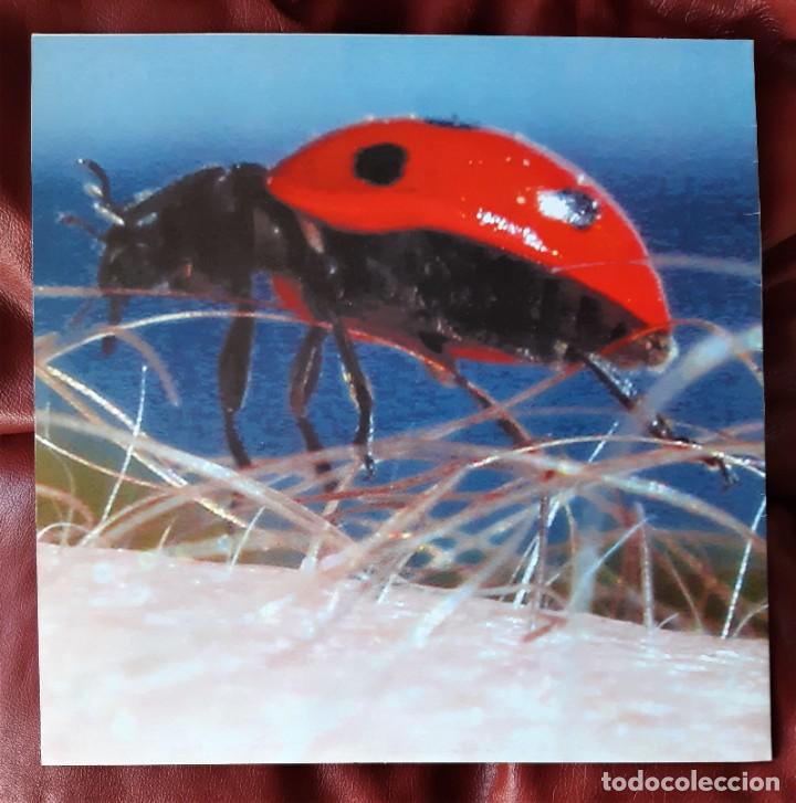 Discos de vinilo: SOLEX - 3/4 LP - Foto 1