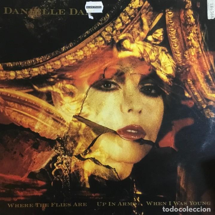 Discos de vinilo: DANIELLE DAX - WHERE THE FLIES ARE - Foto 1