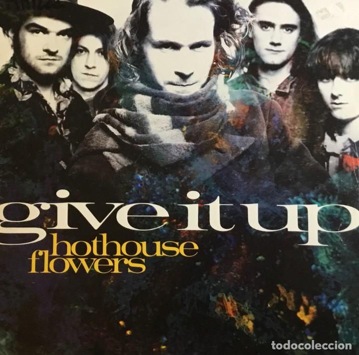 Discos de vinilo: HOTHOUSE FLOWERS - GIVE IT UP - Foto 1