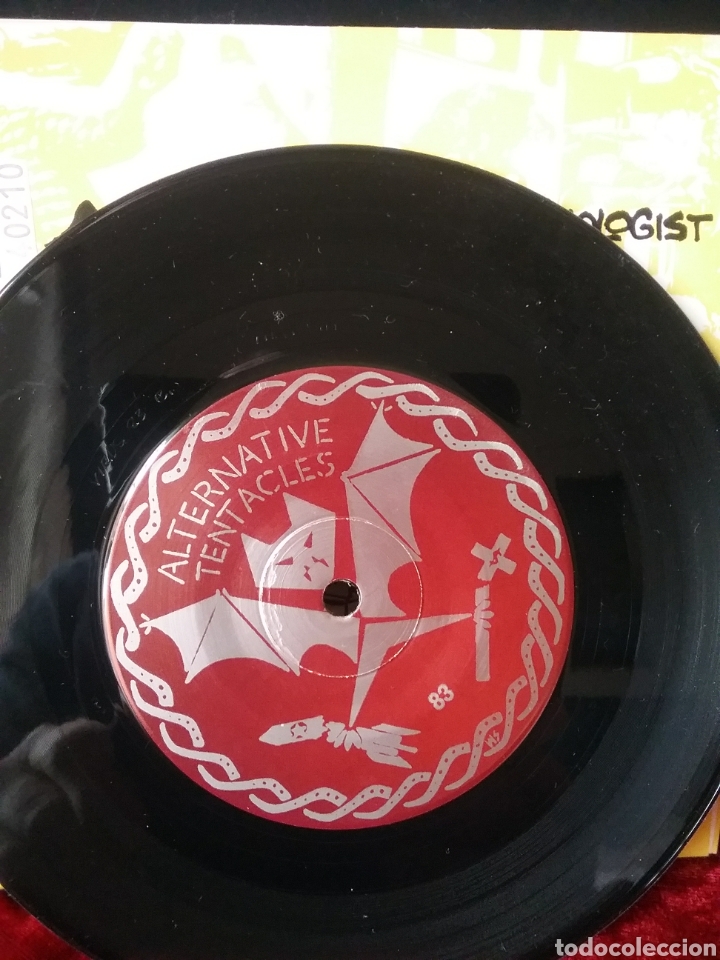 Discos de vinilo: Alice Donut 1990 Alternative Tentacles - Foto 4