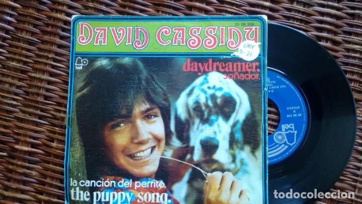 Discos de vinilo: SINGLE (VINILO) DE DAVID CASSIDY A&Ntilde;OS 70 - Foto 1