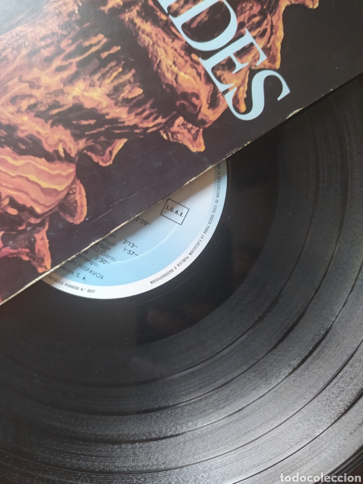 Discos de vinilo: ROC&Iacute;O D&Uacute;RCAL- LA GATA- LP- ARIOLA 1981- - Foto 3