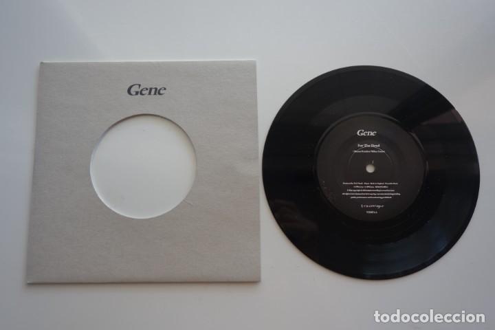 Discos de vinilo: GENE: For The Dead. Single vinilo 7&rdquo; Original UK - Foto 1