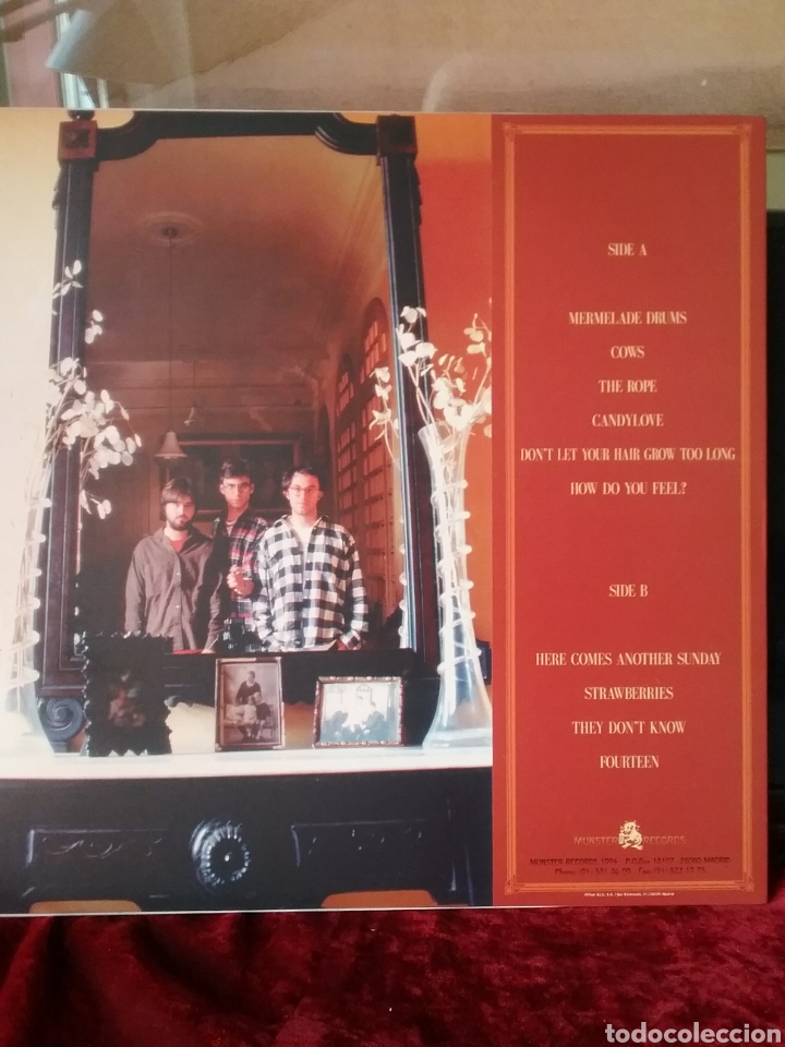 Discos de vinilo: Parkinson D.C. 1994 Munster Records - Foto 2