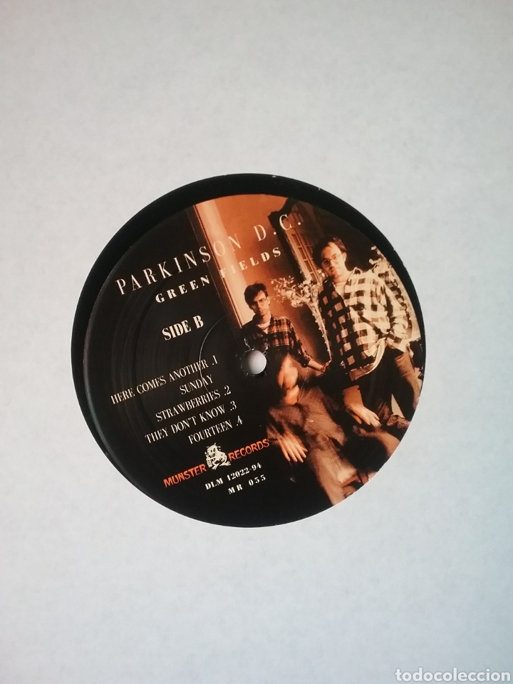 Discos de vinilo: Parkinson D.C. 1994 Munster Records - Foto 5
