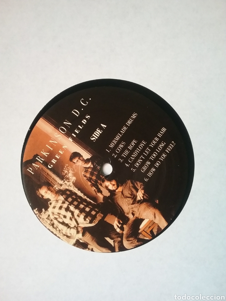 Discos de vinilo: Parkinson D.C. 1994 Munster Records - Foto 6