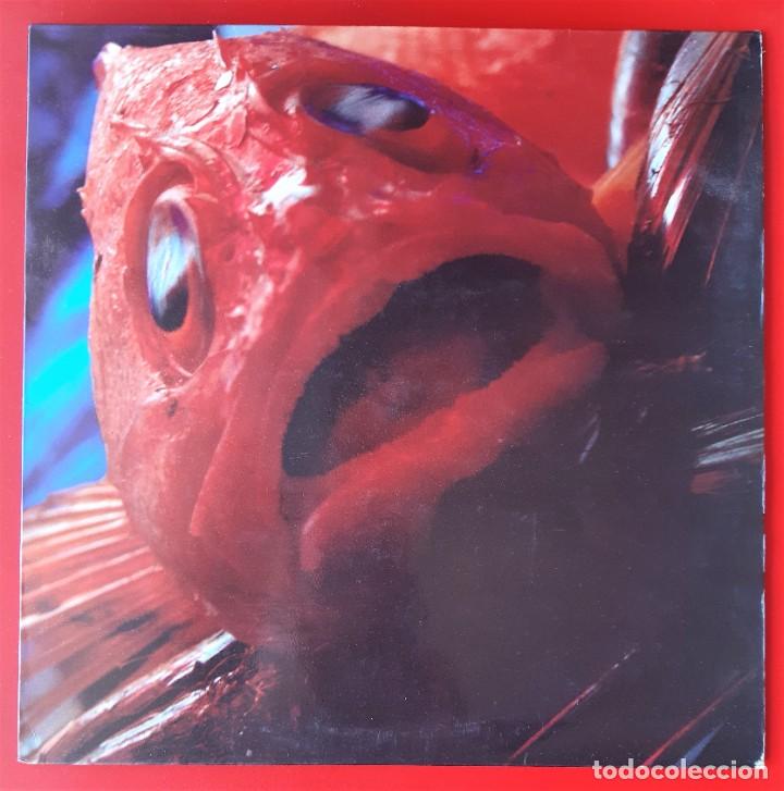 Discos de vinilo: USURA - HAKE ROMANA LP - Foto 1