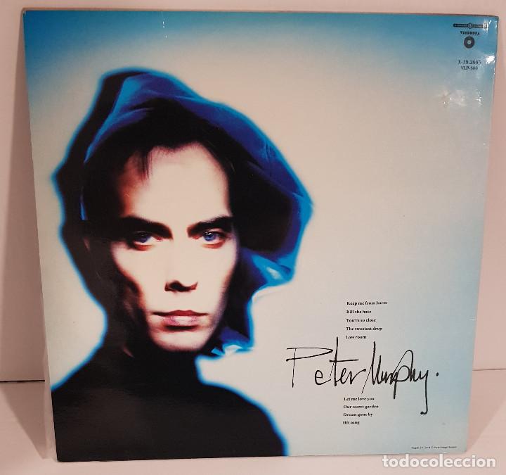 Discos de vinilo: PETER MURPHY HOLT SMOKE - Foto 2
