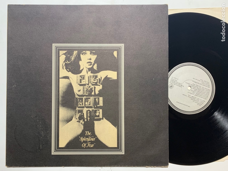 lp felt the splendour of fear edición uk de 198 - Buy LP vinyl