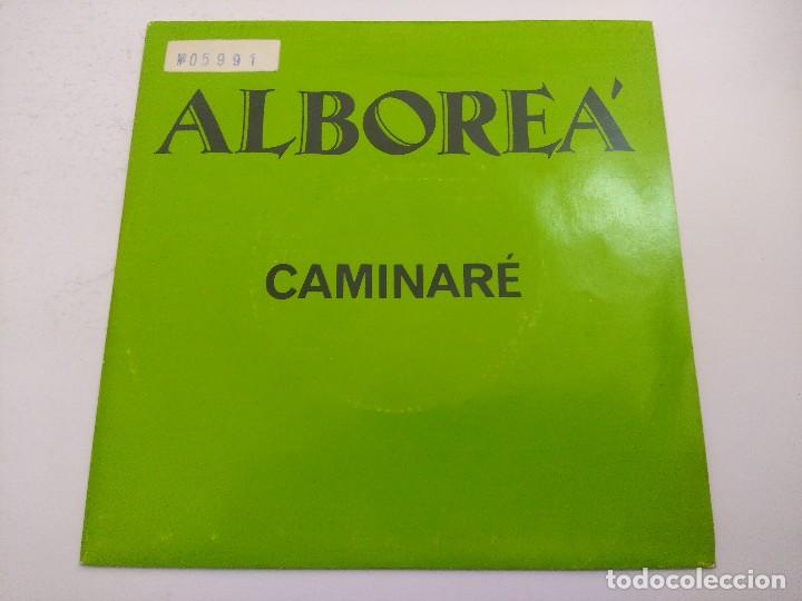 Discos de vinilo: ALBOREA/CAMINARE/SINGLE. - Foto 1