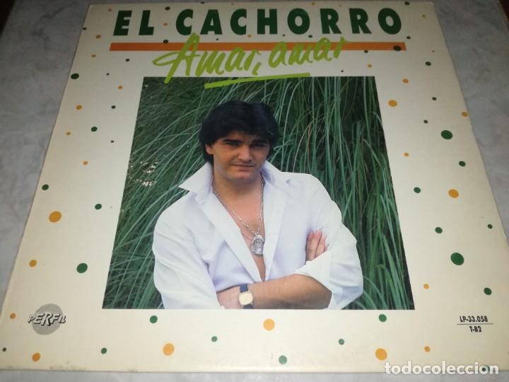 Discos de vinilo: EL CACHORRO-AMAR, AMAR - Foto 1