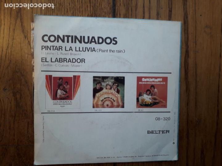 Discos de vinilo: Continuados - pintar la lluvia + el labrador - Foto 2