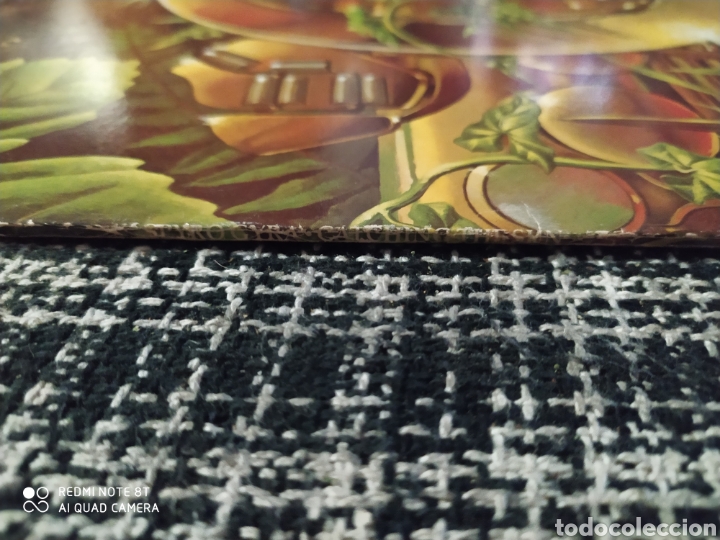 Discos de vinilo: Spyro Gira. Catching The Sun - Foto 4