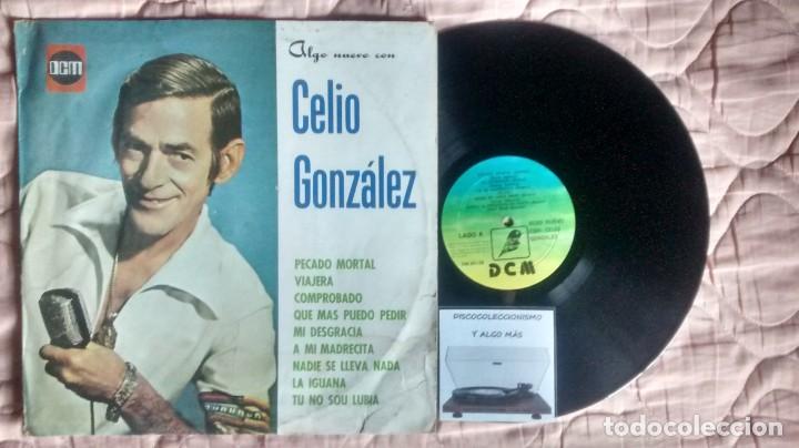 Vinyl records: CELIO GONZ&Aacute;LEZ