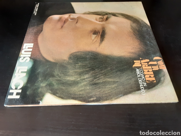 Discos de vinilo: Luis Llach. Com un arbre nu. - Foto 4