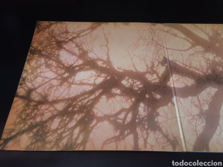 Discos de vinilo: Luis Llach. Com un arbre nu. - Foto 5