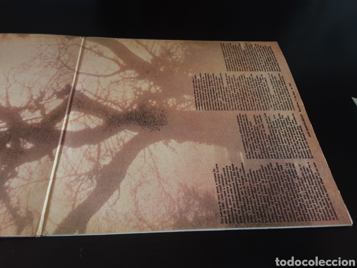 Discos de vinilo: Luis Llach. Com un arbre nu. - Foto 6