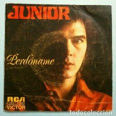 Discos de vinilo: JUNIOR (SINGLE 1973) PERDONAME - THE SNAKE