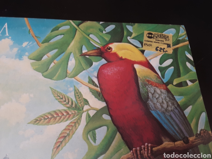 Discos de vinilo: Spyro Gyra. Carnaval - Foto 4