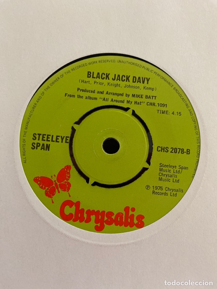 Discos de vinilo: Steeleye Span - All Around My Hat (7&rdquo;, Single) (1976/UK) - Foto 2
