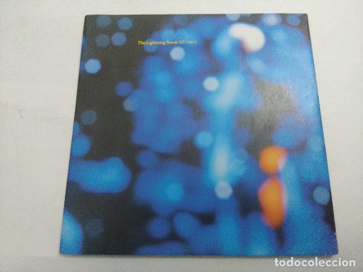 Discos de vinilo: THE LIGHTNING SEEDS/ALL I WANT/SINGLE. - Foto 1
