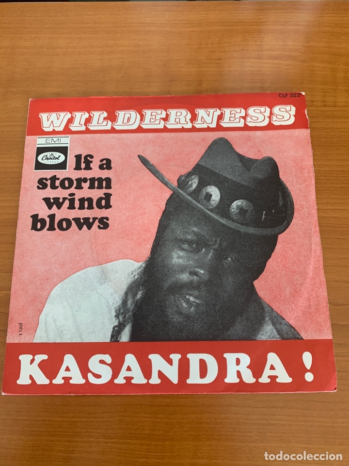 Discos de vinilo: John Kasandra - Wilderness - Foto 1
